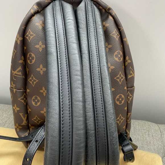 Lv Palms spring PM - Picture 6 of 13